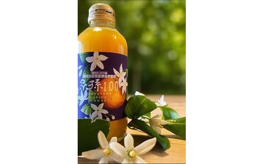 糸孫農園の100％みかんジュース「糸孫100」180ml 8本ギフトセット（A1044-2）