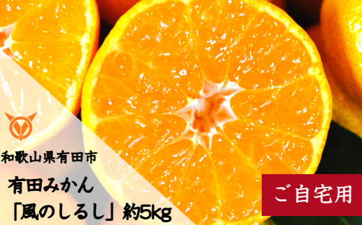 有田みかん「風のしるし」（約5ｋｇ）(A1051-1)