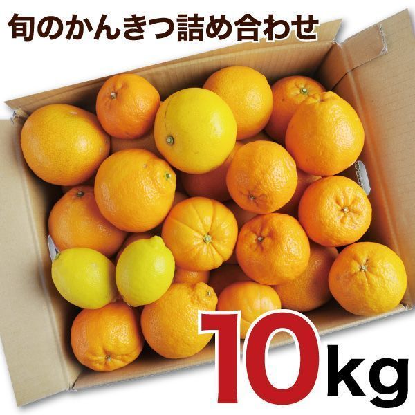 訳アリ旬のかんきつ詰め合わせ１０ｋｇ(A145-4)