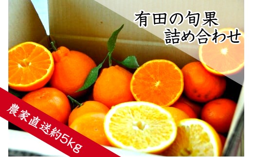 有田の旬果詰め合わせ(A152-1)