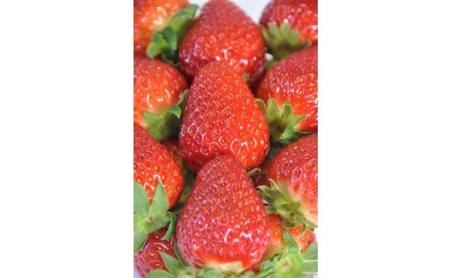 和歌山の苺「まりひめ」４パック(A153-1)