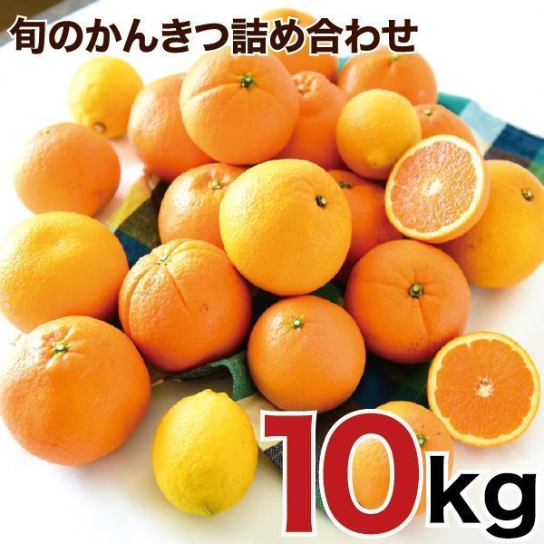 特選旬のかんきつ詰め合わせ１０ｋｇ(A156-3)