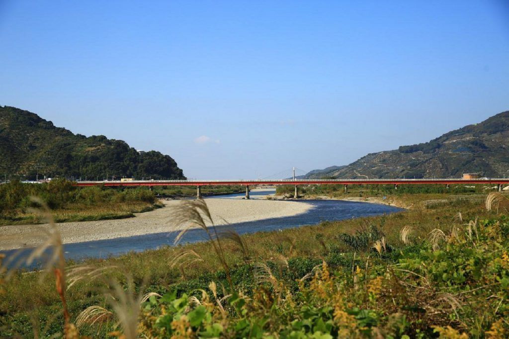 ふるさとのお墓清掃・献花サービス(A181-1)
