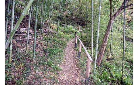 語り部と歩きたび★熊野古道★時さかのぼるありだ【完歩証付き】(A220-1)