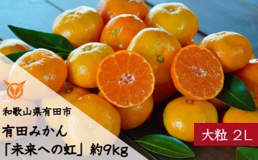 大粒２Ｌ　有田みかん「未来への虹」（約９ｋｇ）(A240-2)