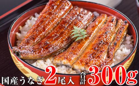 【うなぎ屋かわすい】国産うなぎ蒲焼き大サイズ２本セット(A247-2)