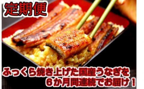 【定期便・うなぎ屋かわすい】国産うなぎ蒲焼大サイズ２本セット（６か月お届け）(A265-1)