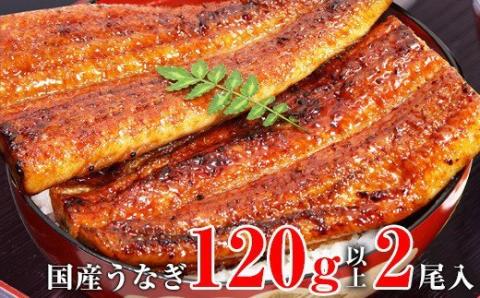 【うなぎ屋かわすい】国産うなぎ蒲焼2本セット（120～149g）(A268-1)