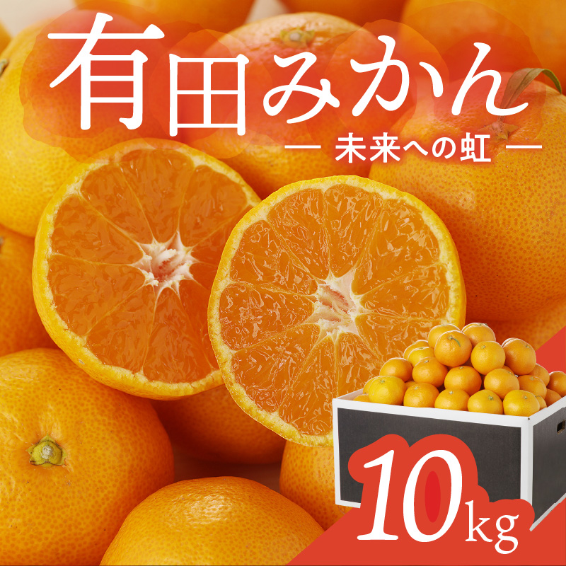 有田みかん「未来への虹」10kg(A2-2)