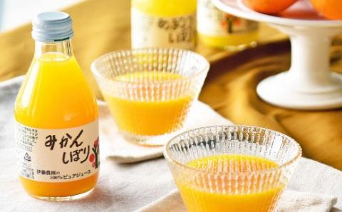 100％ピュアジュース10本 ギフトセット(A305-1)