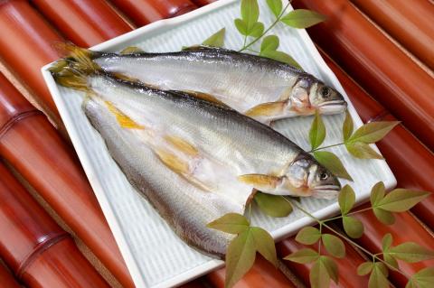 324 鮎開き 西京漬（3尾入り）(A324-2)