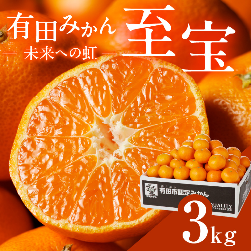 有田市認定みかん「未来への虹」至宝(3kg)【日本初自治体認定フルーツ
