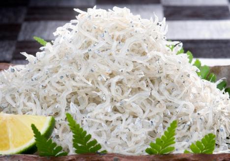 やわらかちりめん(175g×4)(A437-1)