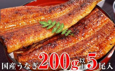 【うなぎ屋かわすい】超特大サイズ国産うなぎ蒲焼き5本セット（合計1kg）(A489-1)