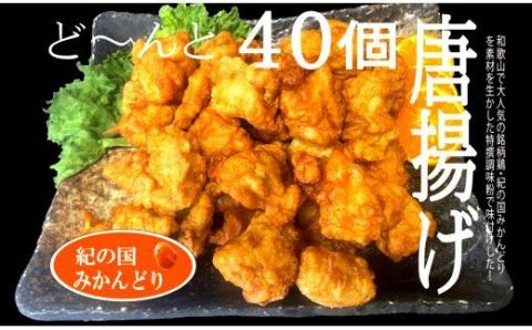 紀の国みかんどり　特選唐揚げ40個セット(A582-1)