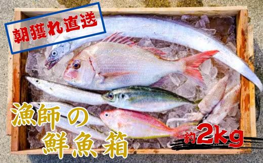 漁師の鮮魚箱（約2kg）(A669-2)