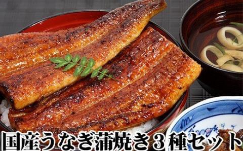 【うなぎ屋かわすい】国産うなぎ蒲焼3種セット(A6-1)