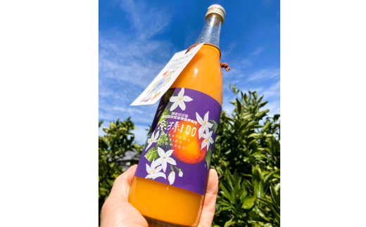 糸孫農園の100%みかんジュース【糸孫100】3本セット（A901-2）