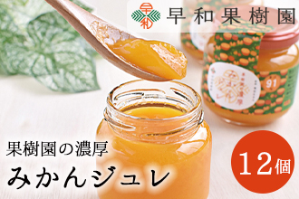 【早和果樹園】濃厚みかんジュレ（12個入）（A953-2）