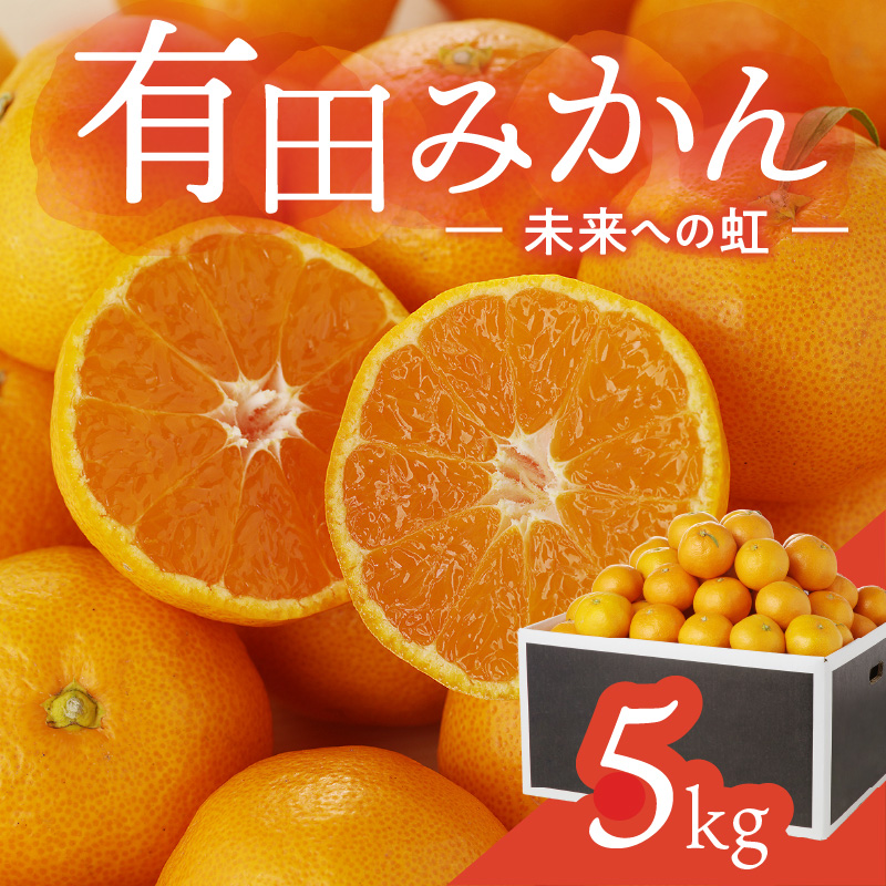 有田みかん「未来への虹」（5kg）(A973-2) 