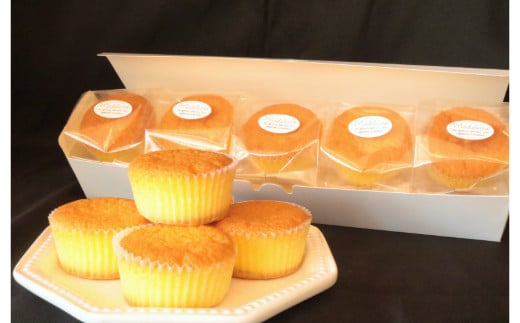 プティマドレーヌ　ｃinq de chouchou（サンクドシュシュ）(A979-2) 