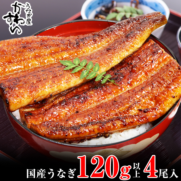 国産うなぎ蒲焼き120g4本セット(A995-1)