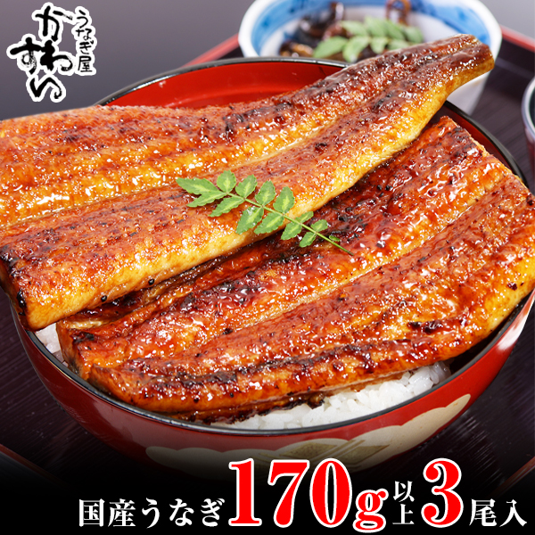 特大サイズ国産うなぎ蒲焼き170g3本セット(A999-1)