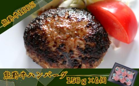 黒毛和牛100％希少なブランド熊野牛ハンバーグ（150ｇ×6個）(A663-1)