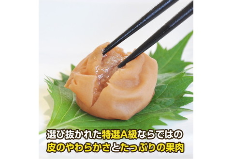 【0181-3】紀州南高梅 特選A級 白干梅(梅干し)1kg［無添加］和歌山県産