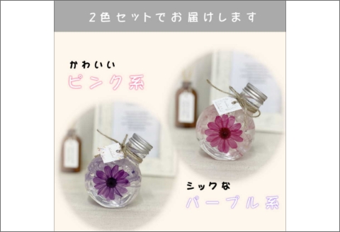 【0369-3】コロンと可愛いボトルに大輪のジニア入りハーバリウムセット
