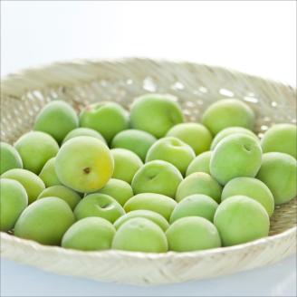 【0301-3】紀州南高梅 梅エキスセット