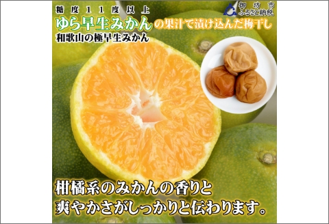 【0920-3】みかんこい梅　100ｇ×5個