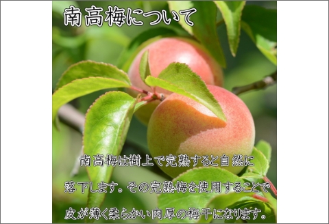 【0382-4】紀州南高梅　しそ梅3Lサイズ　1.2kg(塩分7%)