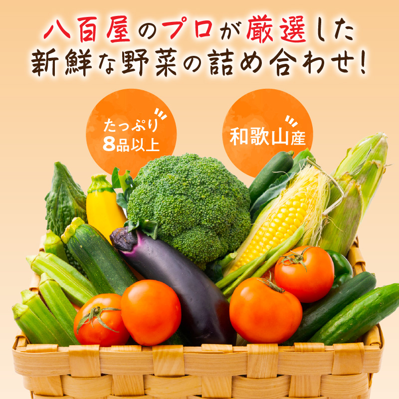【0054-3】旬の新鮮野菜セットたっぷり13種以上