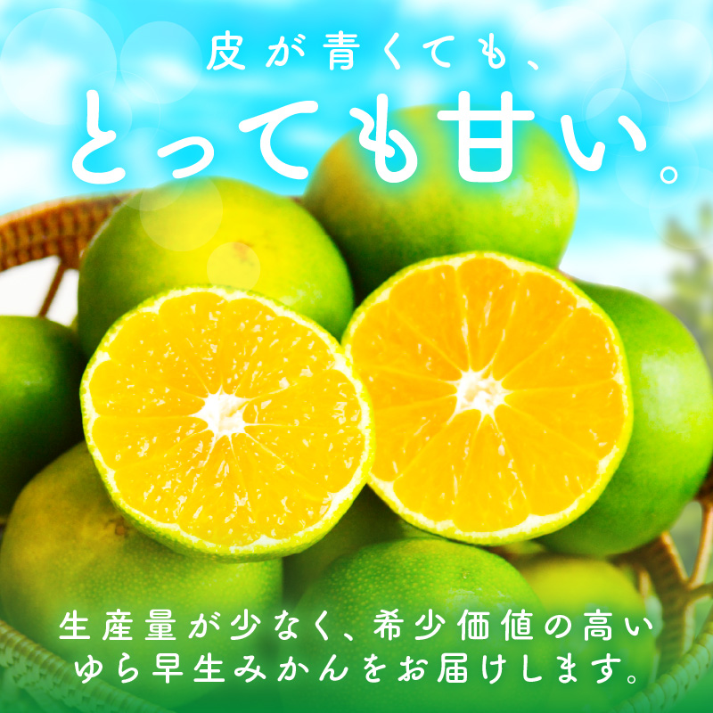 【0162-3】糖度抜群！ゆら早生（みかん）≪先行予約≫