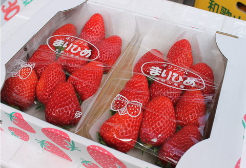 【0203-3】和歌山県オリジナルいちご「まりひめ」【配送不可地域：北海道・青森・秋田・岩手・沖縄】