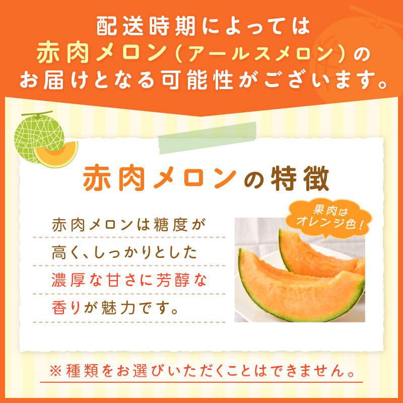 【0249-4】斎藤農園のアールスメロン（マスクメロン）2玉3kg程度≪先行予約2026年6月下旬以降発送分≫