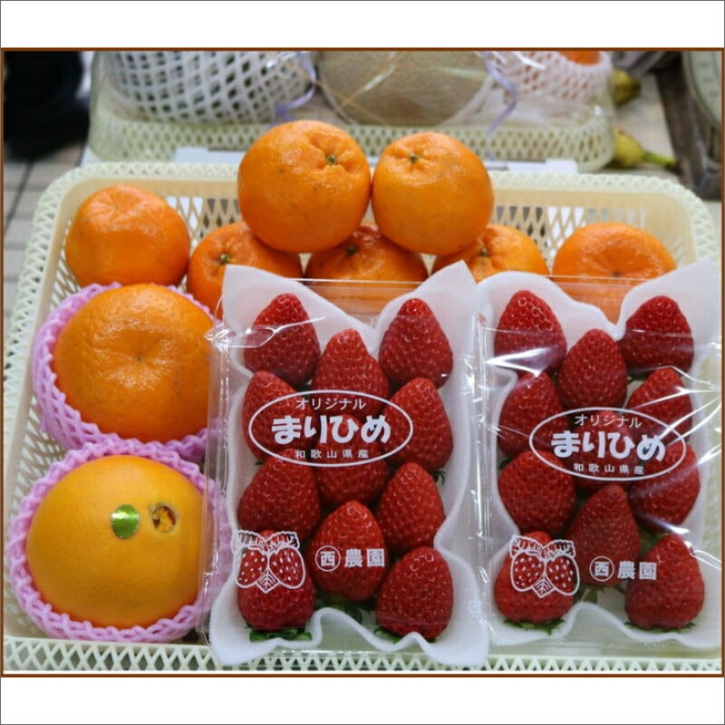 【0374-3】南国紀州・日高の太陽が育んだ季節のフルーツセットB《先行予約》【2026年1月下旬頃より順次発送予定】【配送不可地域:沖縄・離島】 