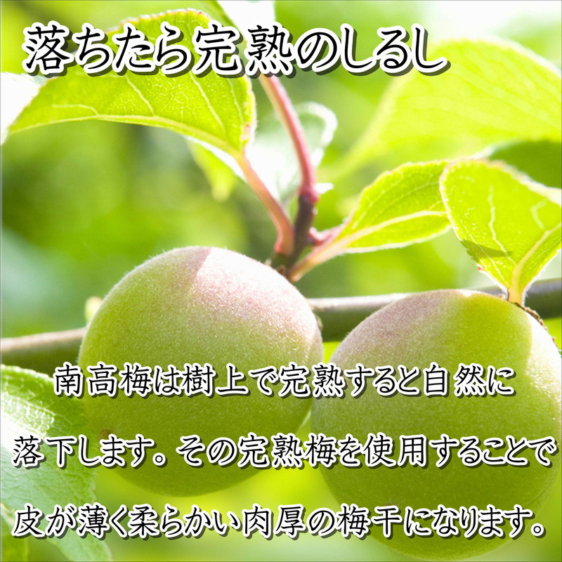 【0514-4】紀州南高梅 こんぶ風味梅干 2kg（和歌山県産）