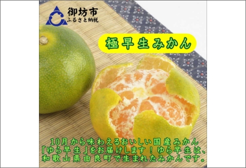 【0552-3】御坊市・日高川町・由良町産 ゆら早生みかん（ゆらっ子）5kg