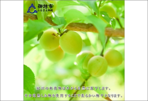 【0585-3】白山農園　梅博士のDR.UME(登録商標)