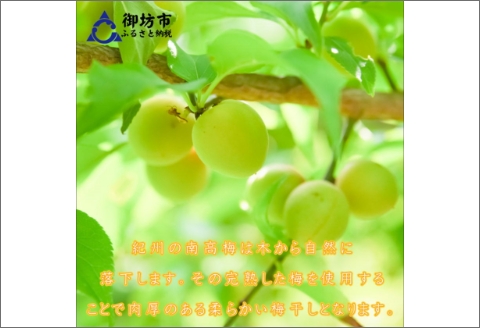 【0592-4】自然派 はちみつ梅干し（うす塩味）600g