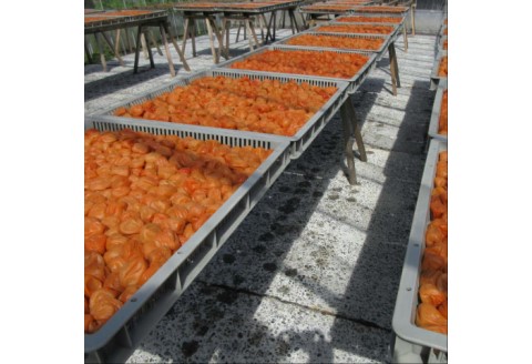 【0634-3】木箱入り梅干し　うすしお味8粒はちみつ味4粒