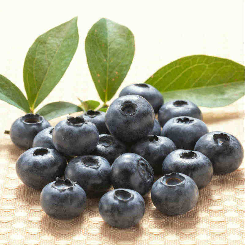 【0704-4】冷蔵ブルーベリー　500ｇ