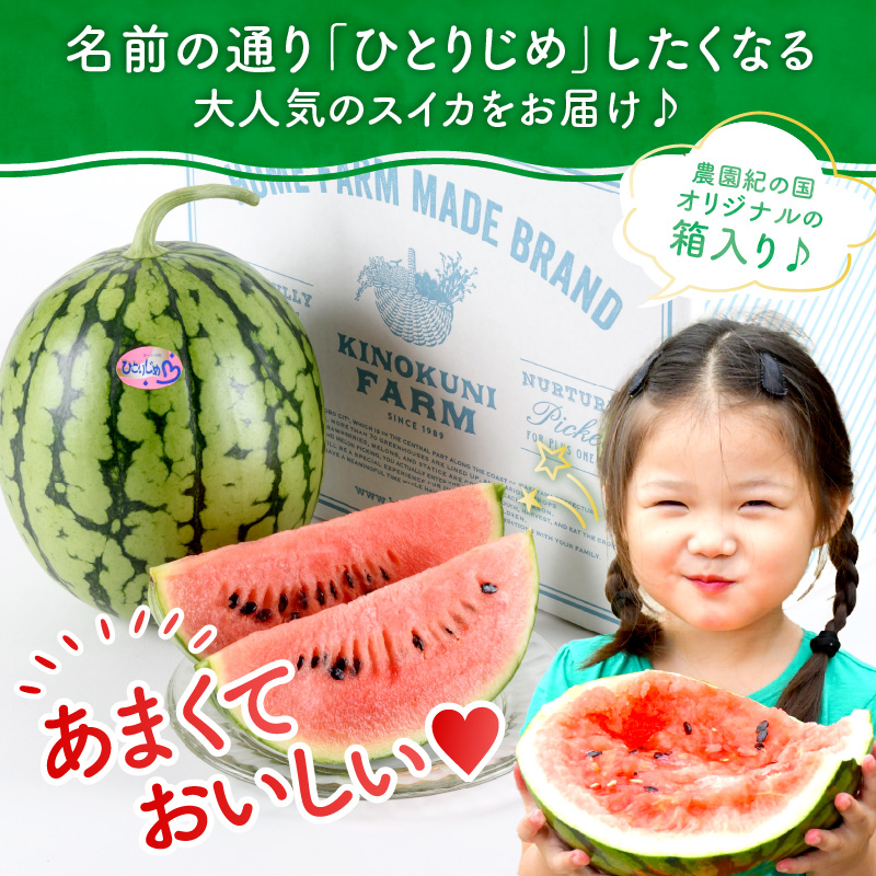 【0750-4】自農園産　紅小玉スイカ「ひとりじめ」2～3玉≪先行予約≫2026年6月中旬から順次発送【 配送不可地域：北海道・青森・秋田・岩手・沖縄・離島】