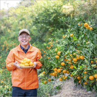 【0770-3】濃厚な甘さ！ポンカン5kg みかんの産地和歌山の農園直送《先行予約》
