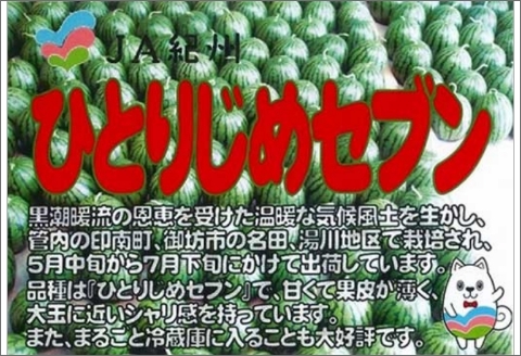 【0896-3】紅こだま西瓜（ひとりじめセブン）２玉入り