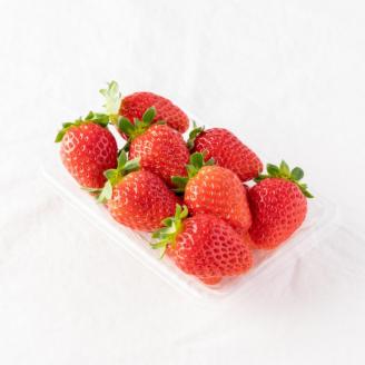 【1009-4】「完熟×芳醇=まりひめ」4パック（約250g×4）≪先行予約≫2026年1月上旬より順次発送予定【配送不可地域：北海道・沖縄・離島】