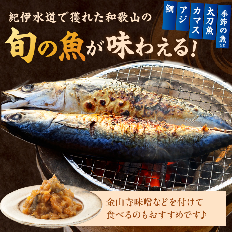 【1180】【国産】紀州特産干物詰合せ　大セット