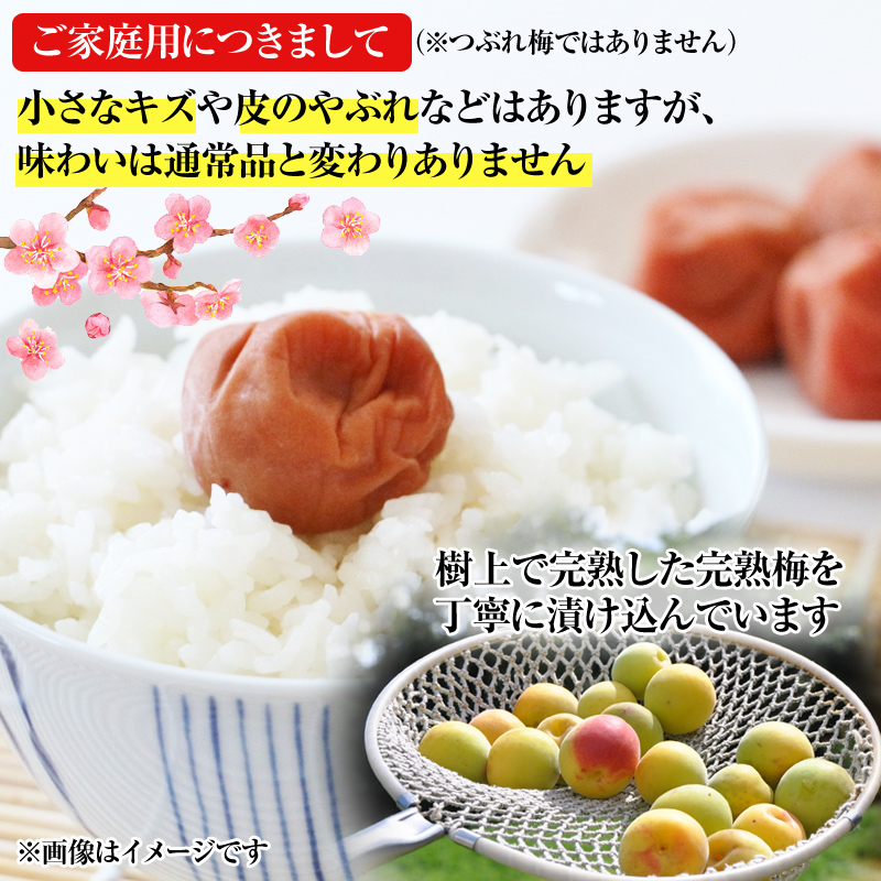 【1182-1】【ご家庭用】はちみつ梅干し 1.2kg（紀州南高梅） 和歌山県産